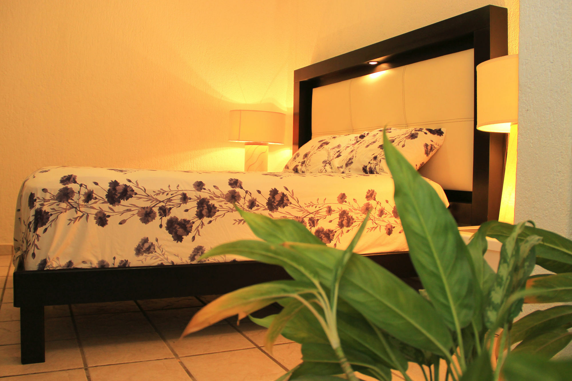 Vida Playa Aparthotel 3*