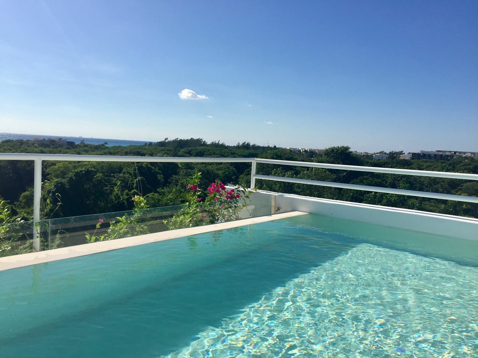 Ocean Zen On 5th Avenue - Adults Only Aparthotel
