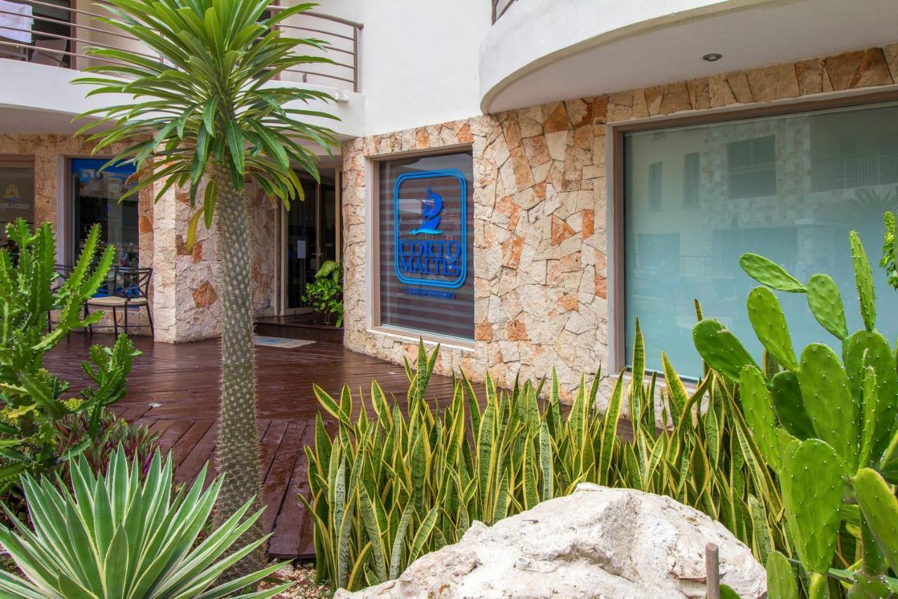 Apartment Corto Maltes 205 Ocean Front 2 Bdrs Apt